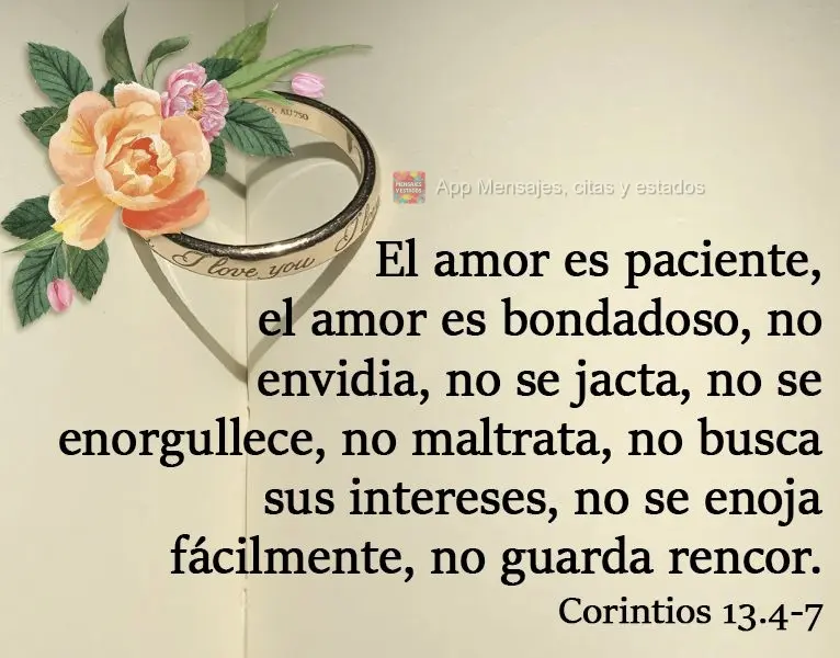 El amor es paciente, el amor es bondadoso, no envidia, no se jacta, no se enorgullece, no maltrata, no busca sus intereses, no se enoja fácilmente, no g...