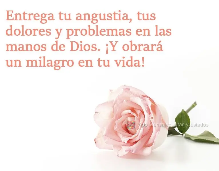 Entrega tu angustia, tus dolores y problemas en las manos de Dios. ¡Y obrará un milagro en tu vida!