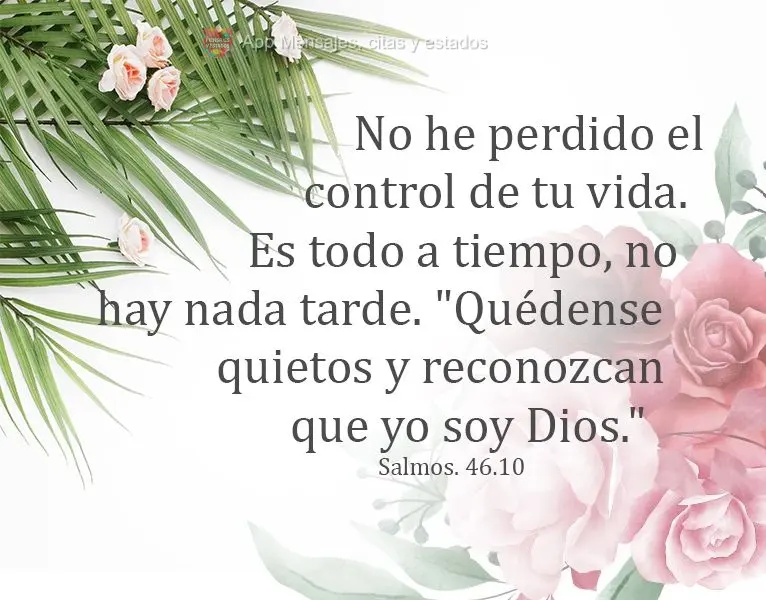 No he perdido el control de tu vida. Es todo a tiempo, no hay nada tarde. "Quédense quietos y reconozcan que yo soy Dios". Salmos. 46,10