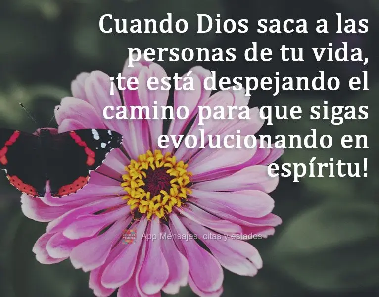 Cuando Dios saca a las personas de tu vida, ¡te está despejando el camino para que sigas evolucionando en espíritu!