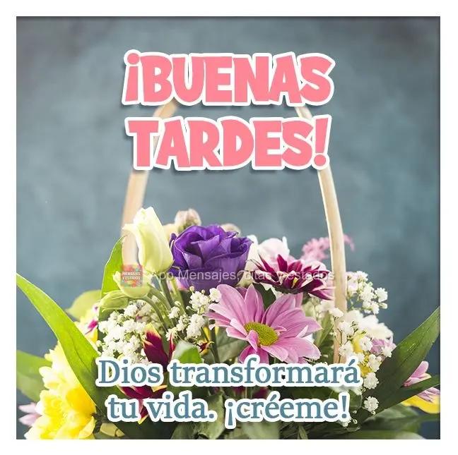 Deus vai transformar sua vida. Acredite!
 Boa tarde! 