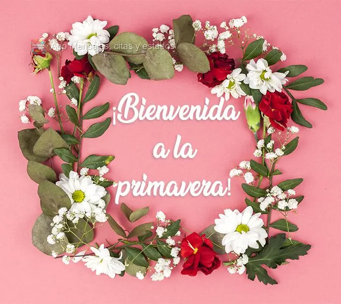 Seja bem-vindo à Primavera!
