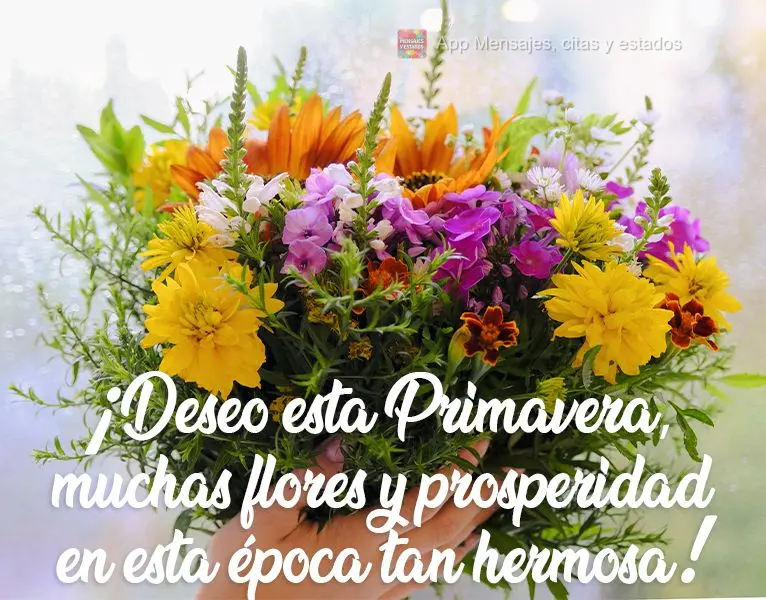 Desejo nesta Primavera muitas flores e prosperidade nesta época tão linda!
