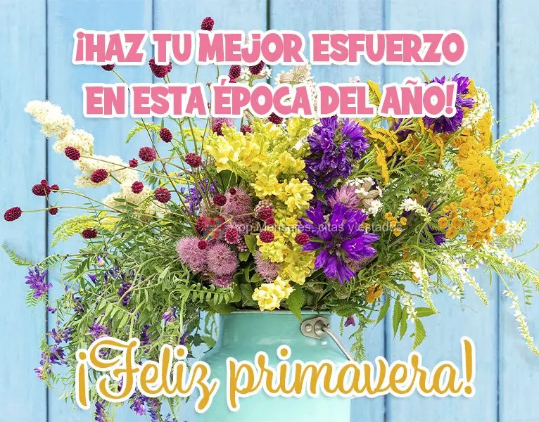 Dê o melhor de si nesta época do ano!  Feliz Primavera!