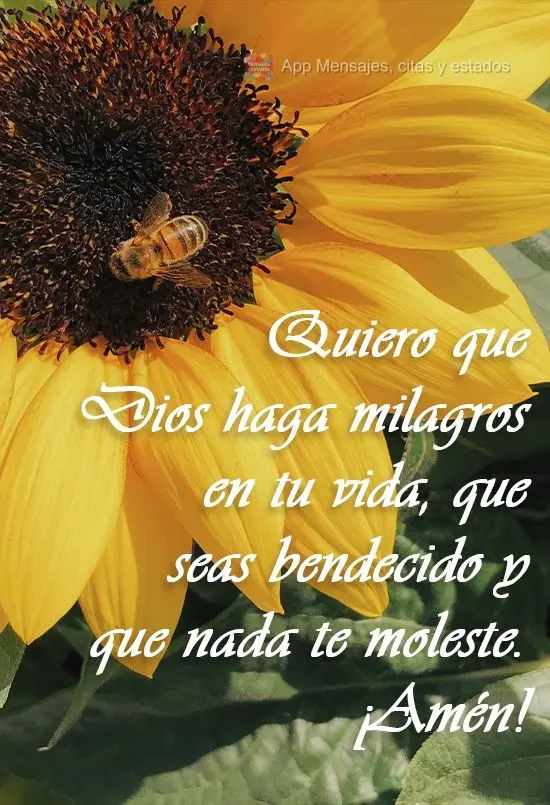 Quiero que Dios haga milagros en tu vida, que seas bendecido y que nada te moleste. ¡Amén!