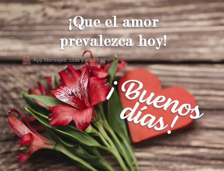 Que o amor prevaleça no dia de hoje!  Bom dia!