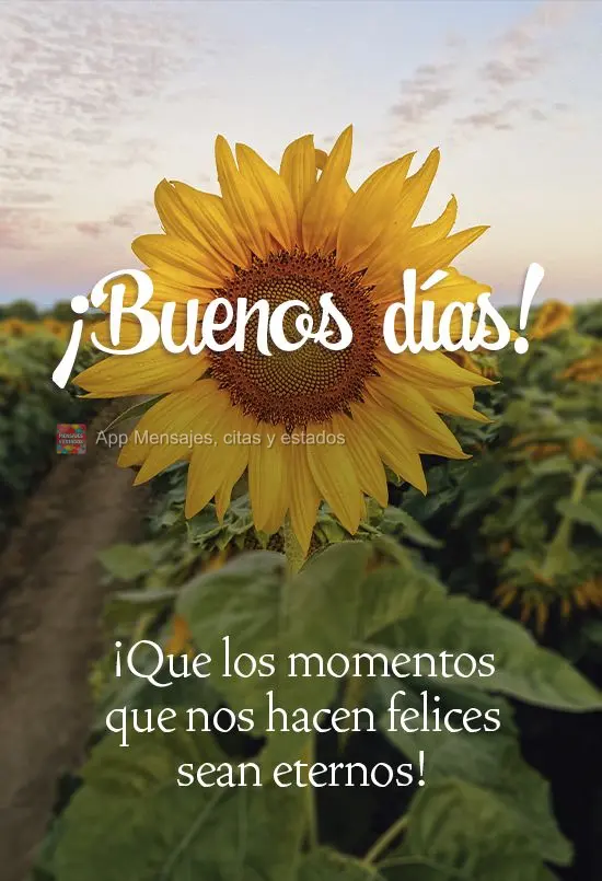 Que sejam eternos os momentos que nos fazem feliz!
 Bom dia! 