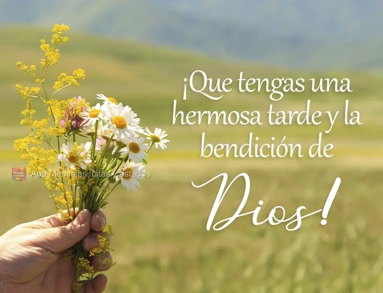 ¡Que tengas una hermosa tarde y la bendición de Dios!