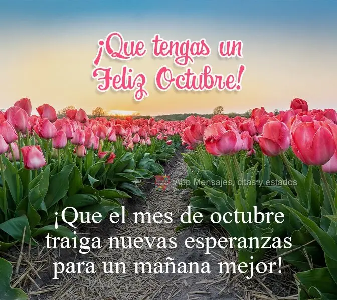 Que o mês de Outubro traga novas esperanças por um amanhã melhor!  Tenha um Feliz Outubro!