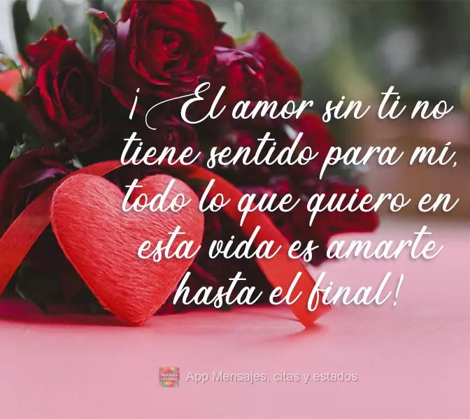 ¡El amor sin ti no tiene sentido para mí, todo lo que quiero en esta vida es amarte hasta el final!