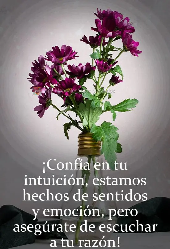 ¡Confía en tu intuición, estamos hechos de sentidos y emoción, pero asegúrate de escuchar a tu razón!