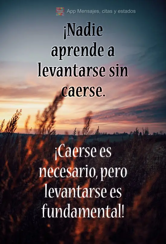 Ninguém aprende a levantar sem levar um tombo. Cair é necessário, mas levantar é essencial!
