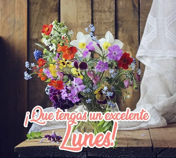 ¡Que tengas un excelente lunes!
