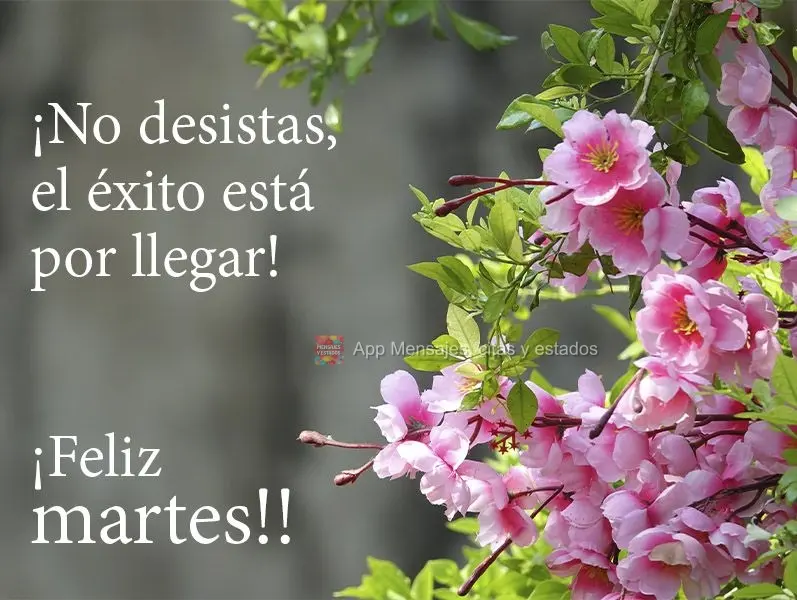 ¡No desistas, el éxito está por llegar! ¡Feliz martes!