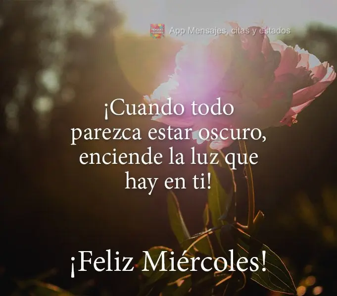 ¡Cuando todo parezca estar oscuro, enciende la luz que hay en ti! ¡Feliz miércoles!