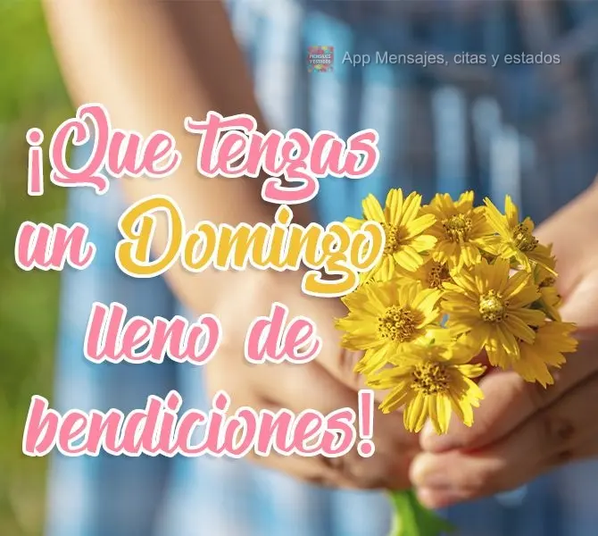 ¡Que tengas un domingo lleno de bendiciones!