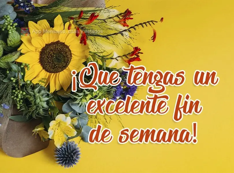 Excelente Final de semana para você!
