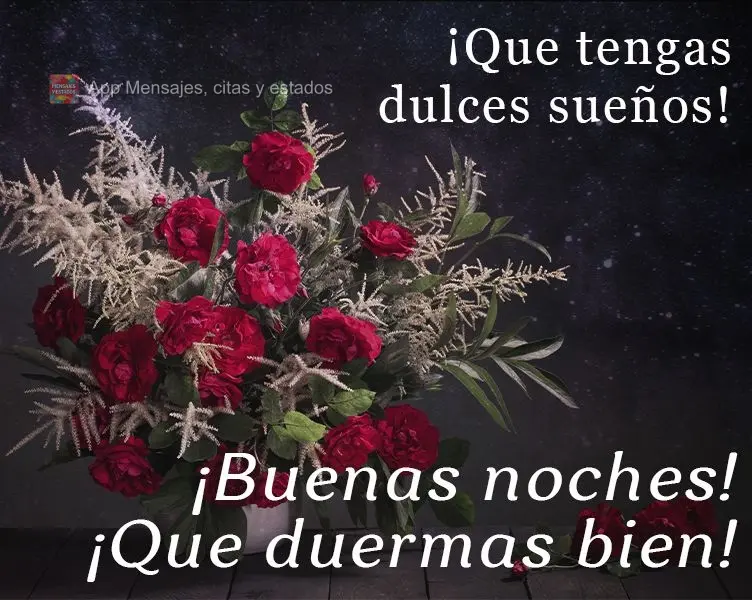 Desejo a você uma noite de lindos sonhos!
  Boa noite! Durma bem!