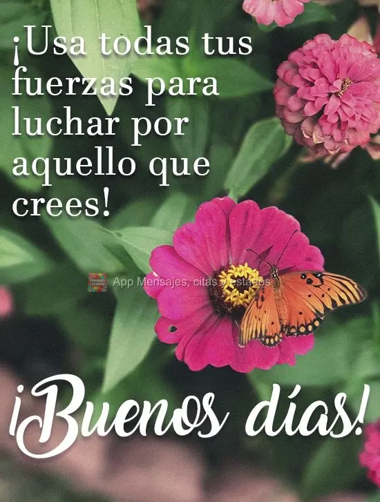 Use todas as suas forças para lutar por aquilo que acredita!  Bom dia!