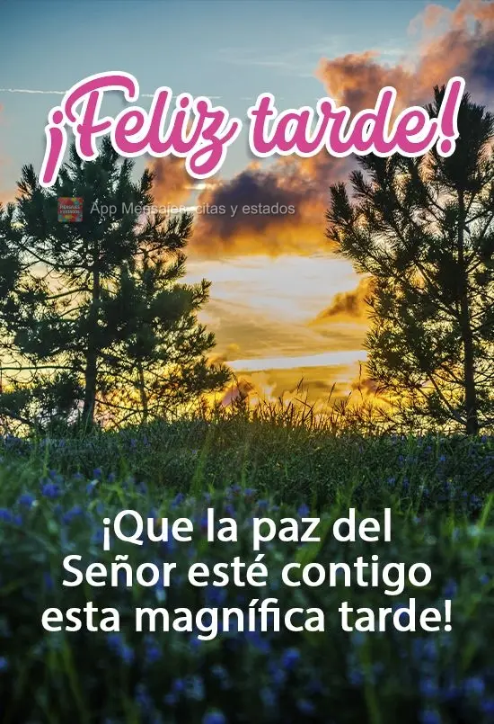 ¡Que la paz del Señor esté contigo esta magnífica tarde! ¡Feliz tarde!