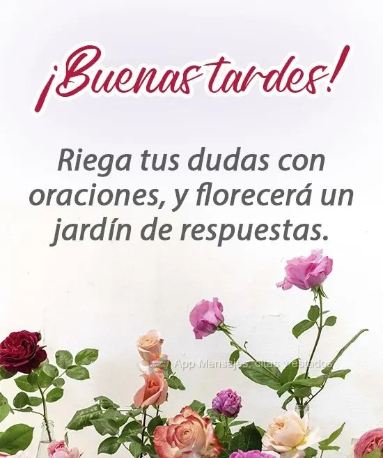 Regue suas dúvidas com oração, e florescerá um jardim de respostas!
 Boa tarde! 