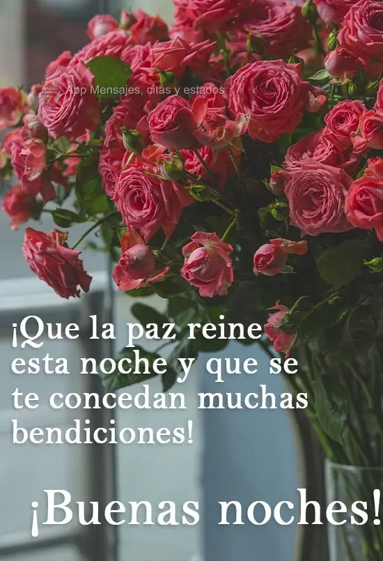 Que a paz reine nesta noite e você seja contemplado com muitas bênçãos! 
 Boa noite!