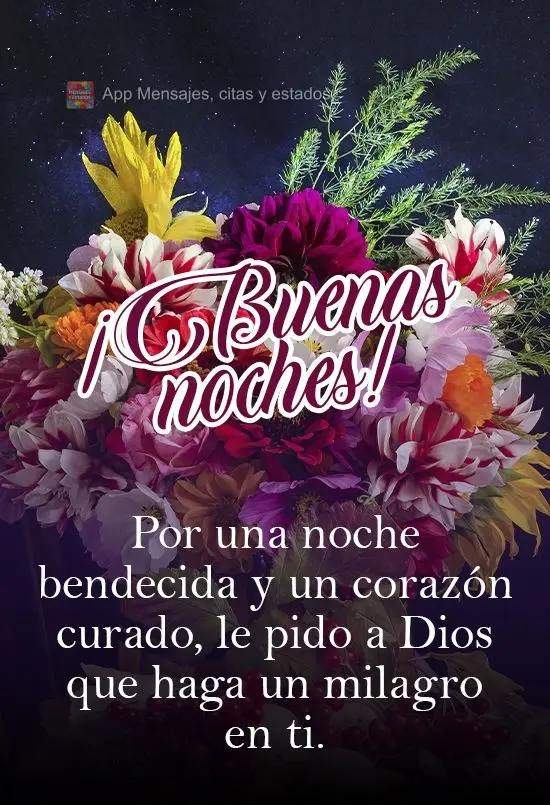 Por uma noite abençoada e um coração curado, peço que Deus faça um milagre em ti!  Boa noite!