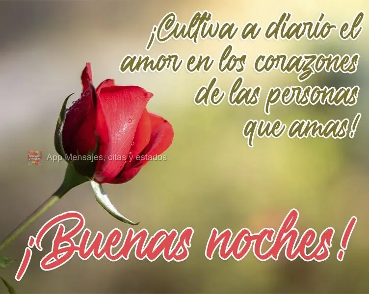 ¡Cultiva a diario el amor en los corazones de las personas que amas! ¡Buenas noches!
