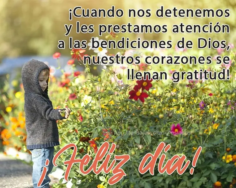 Quando a gente para pra reparar nas bênçãos de Deus, nosso coração se enche de gratidão!  Bom dia!