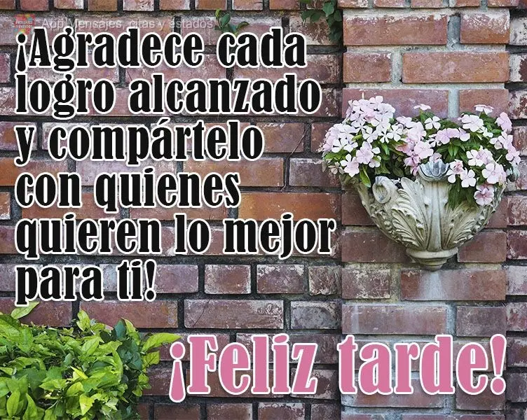 Agradeça por cada conquista realizada e as compartilhe com quem te quer bem!  Boa tarde!