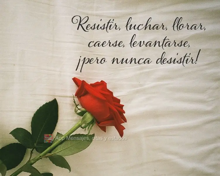 Amar a las personas equivocadas te hace ver el amor en las personas correctas.