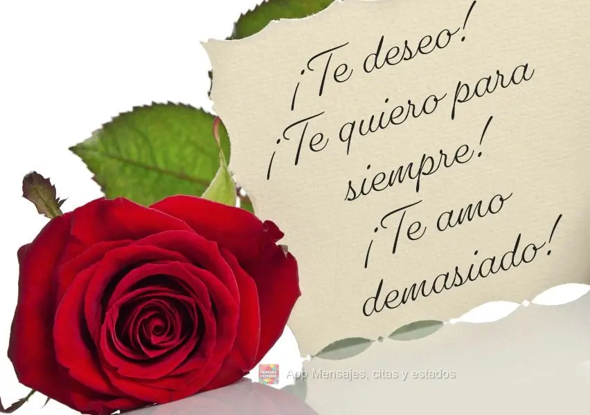 ¡Te deseo! ¡Te quiero para siempre! ¡Te amo demasiado!
