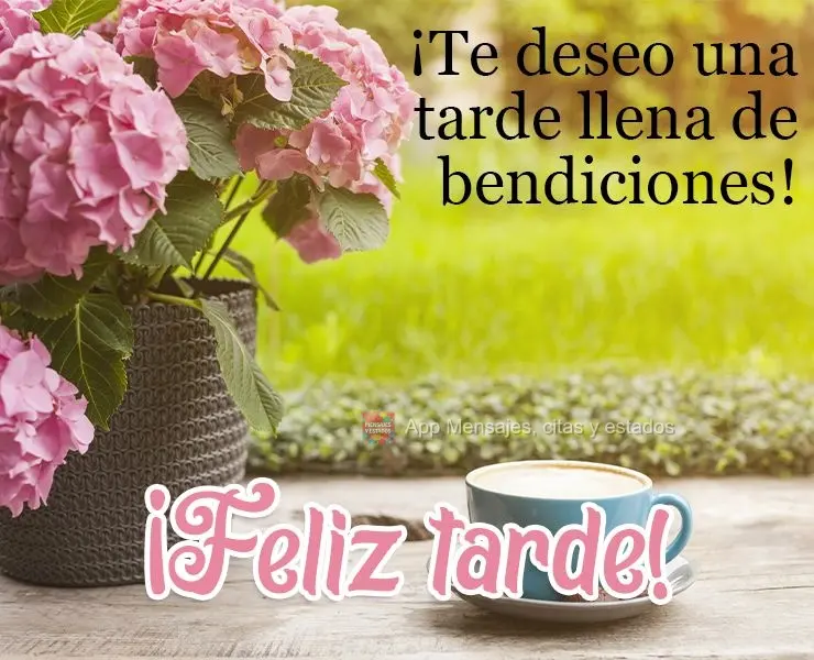 ¡Te deseo una tarde llena de bendiciones! ¡Feliz tarde!