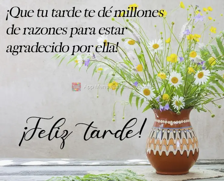 Que tua tarde tenha milhões de motivos para ser grato por ela! 
 Boa tarde!