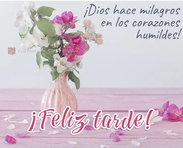 Deus faz milagres nos corações humildes! 
 Boa tarde!