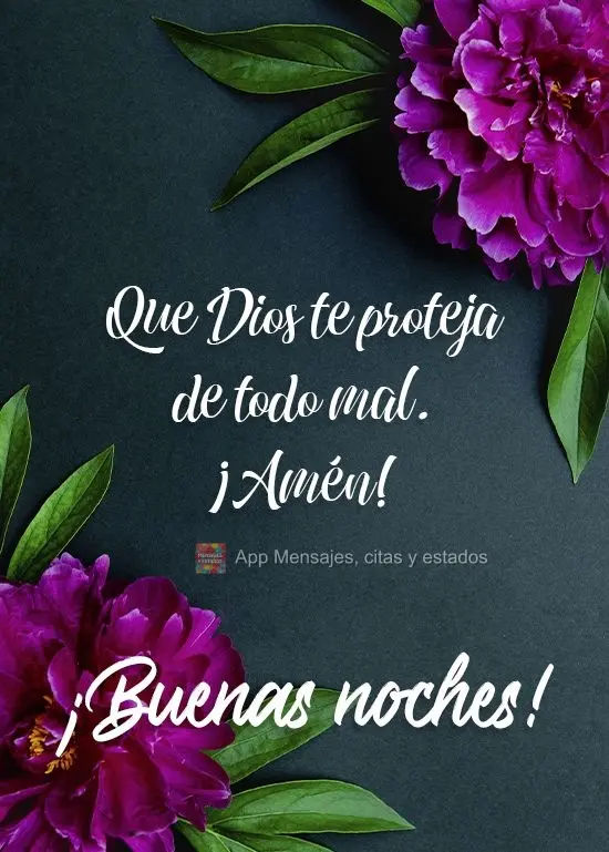 Que Dios te proteja de todo mal. ¡Amén! ¡Buenas noches!