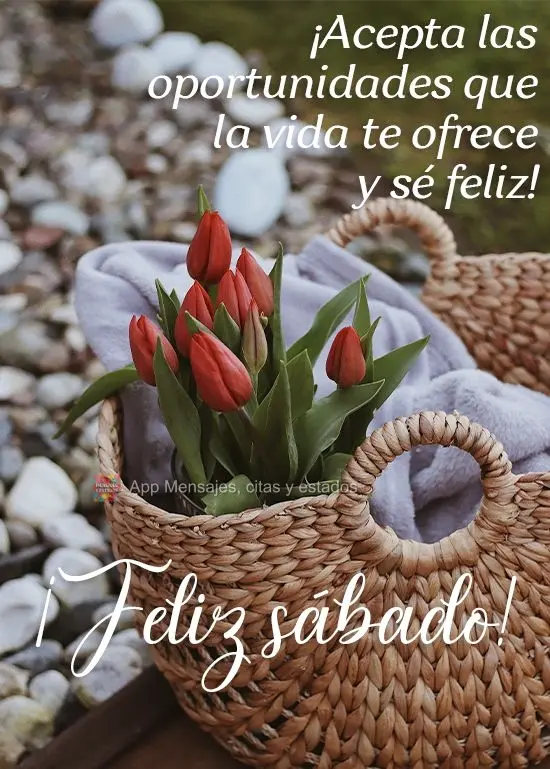 Abrace as oportunidades que a vida lhe oferece e seja feliz! 
 Feliz Sábado!