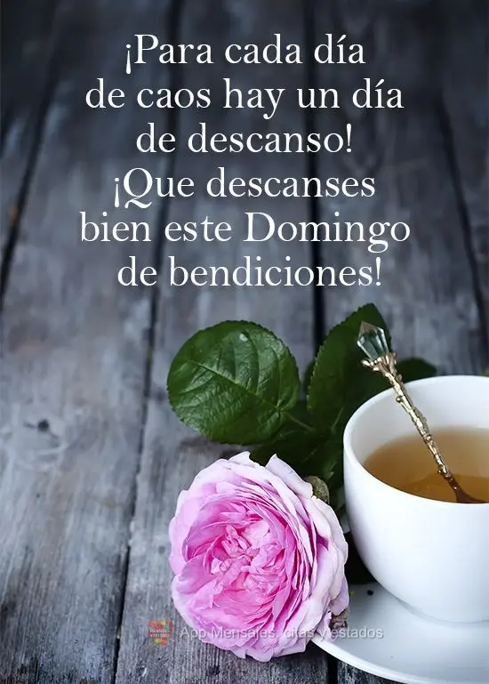 Para todo dia de caos existe um dia de descanso! Descanse bem neste Domingo abençoado!
