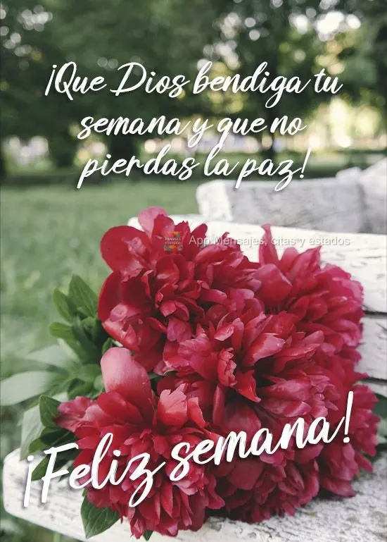 ¡Que Dios bendiga tu semana y que no pierdas la paz! ¡Feliz semana!
