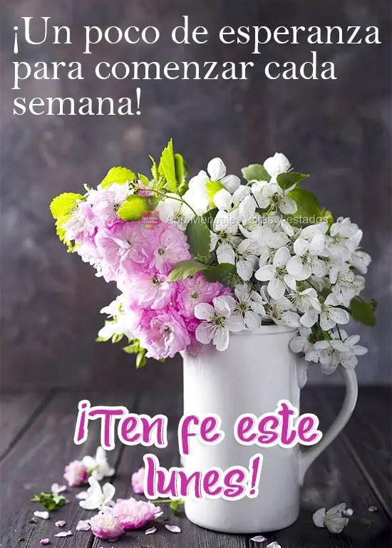 Para todo começo de semana um pouco de esperança!  Tenha fé nesta Segunda-feira!