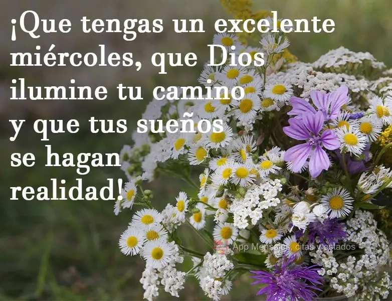 ¡Que tengas un excelente miércoles, que Dios ilumine tu camino y que tus sueños se hagan realidad!