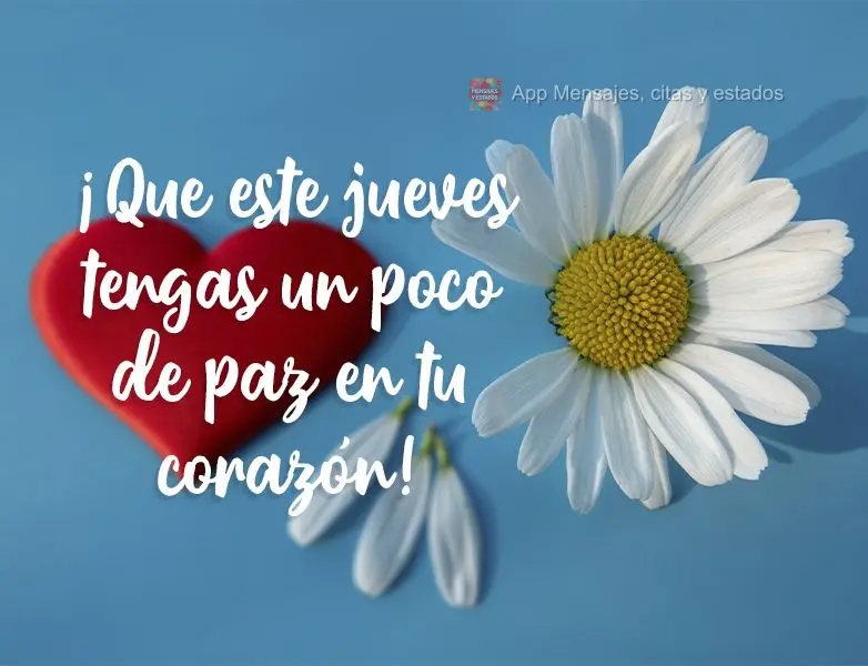 Que nesta Quinta-feira você tenha um pouco de paz para o seu coração! 
