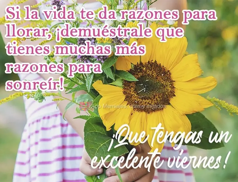 Si la vida te da razones para llorar, ¡demuéstrale que tienes muchas más razones para sonreír! ¡Que tengas un excelente viernes!