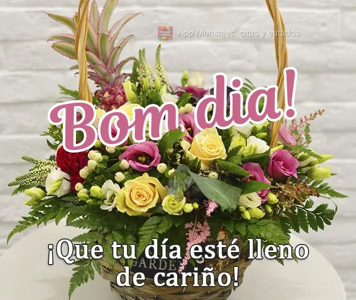 Que seu dia seja cheio de carinho!  Bom dia!