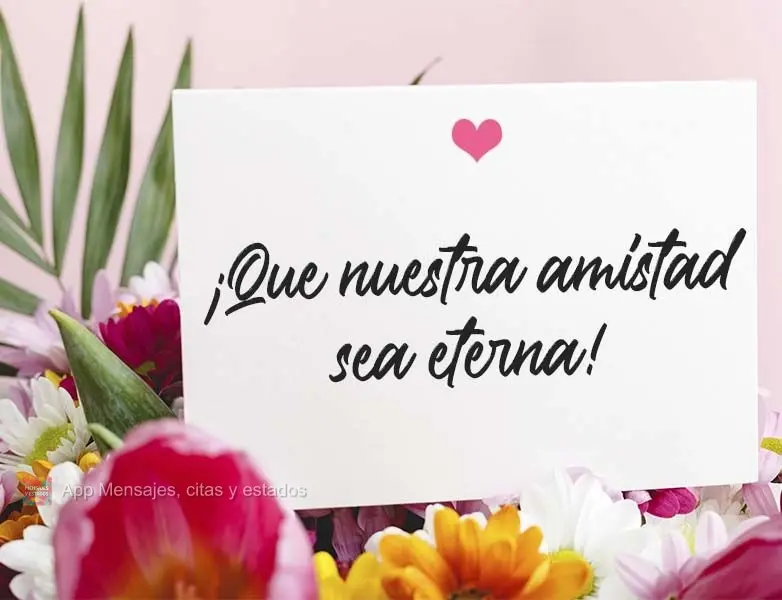 ¡Que nuestra amistad sea eterna!