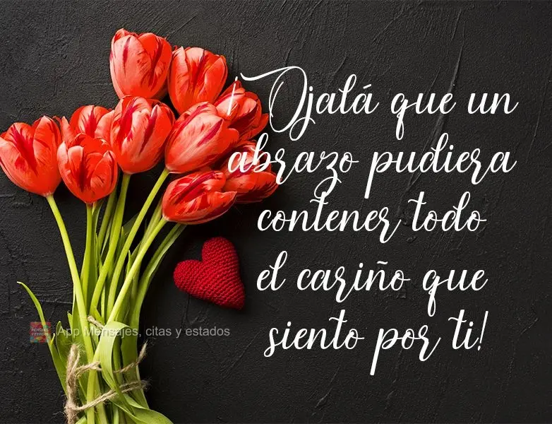 Quem dera se todo o carinho que sinto por você coubesse dentro de um abraço!
