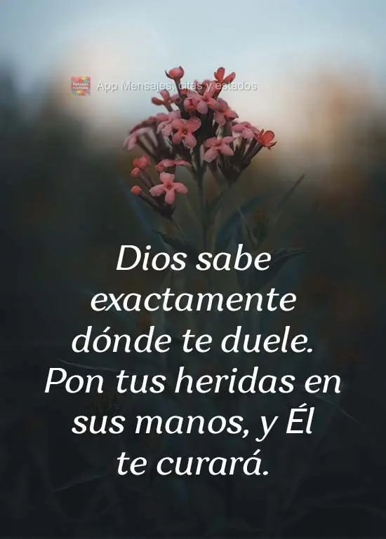 Deus sabe exatamente aonde dói. Entrega nas mãos de Deus as tuas feridas e receberá a cura pelas mãos do pai!
