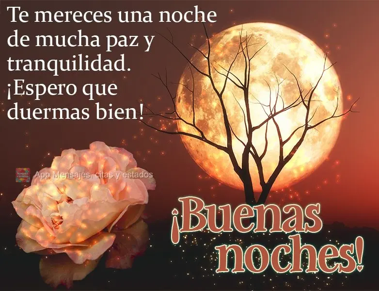 Você merece uma noite de muita paz e tranquilidade, espero que durma bem!  Boa noite!