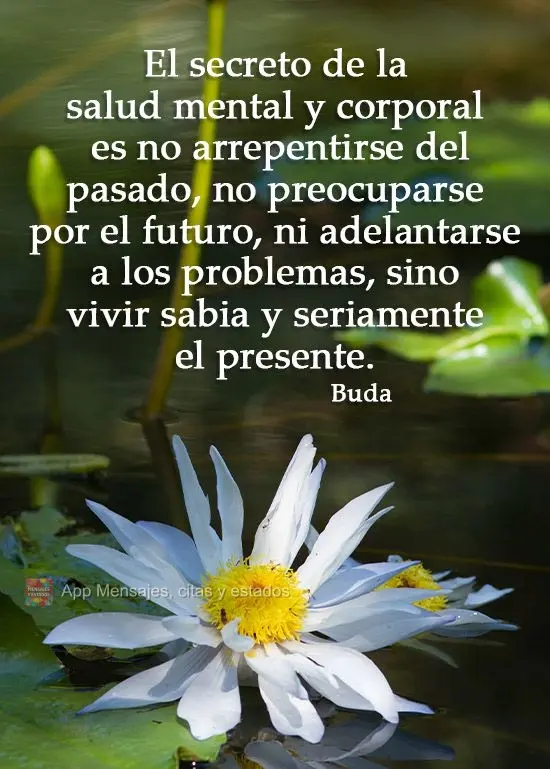 El secreto de la salud mental y corporal es no arrepentirse del pasado, no preocuparse por el futuro, ni adelantarse a los problemas, sino vivir sabia y ...