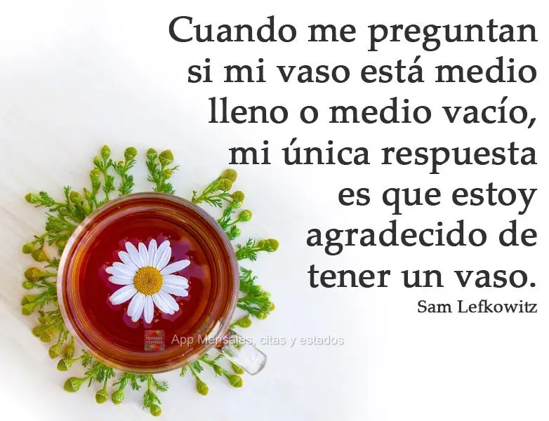 Quando sou questionado se meu copo está meio cheio ou meio vazio, minha única resposta é que estou grato por ter um copo.
  Sam Lefkowitz